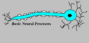 synapse animated gif